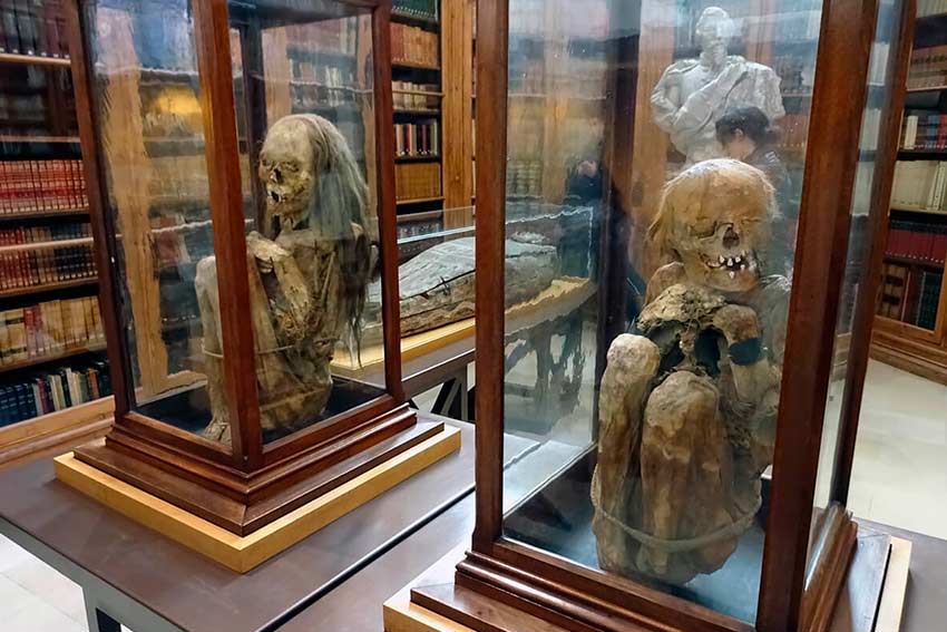 Музеи в Лиссабоне (фото)